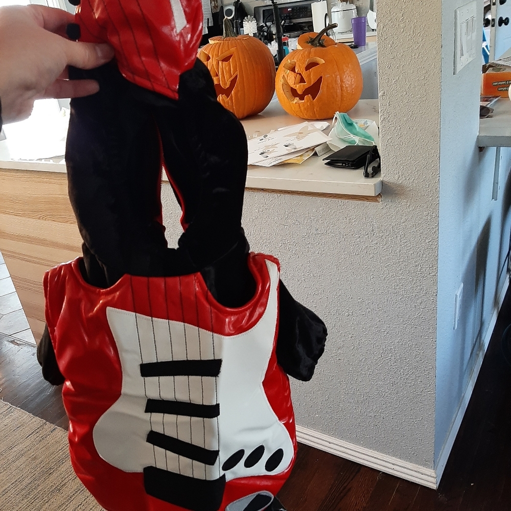 Amy Coe 0-3 month baby guitar Elvis family costume.